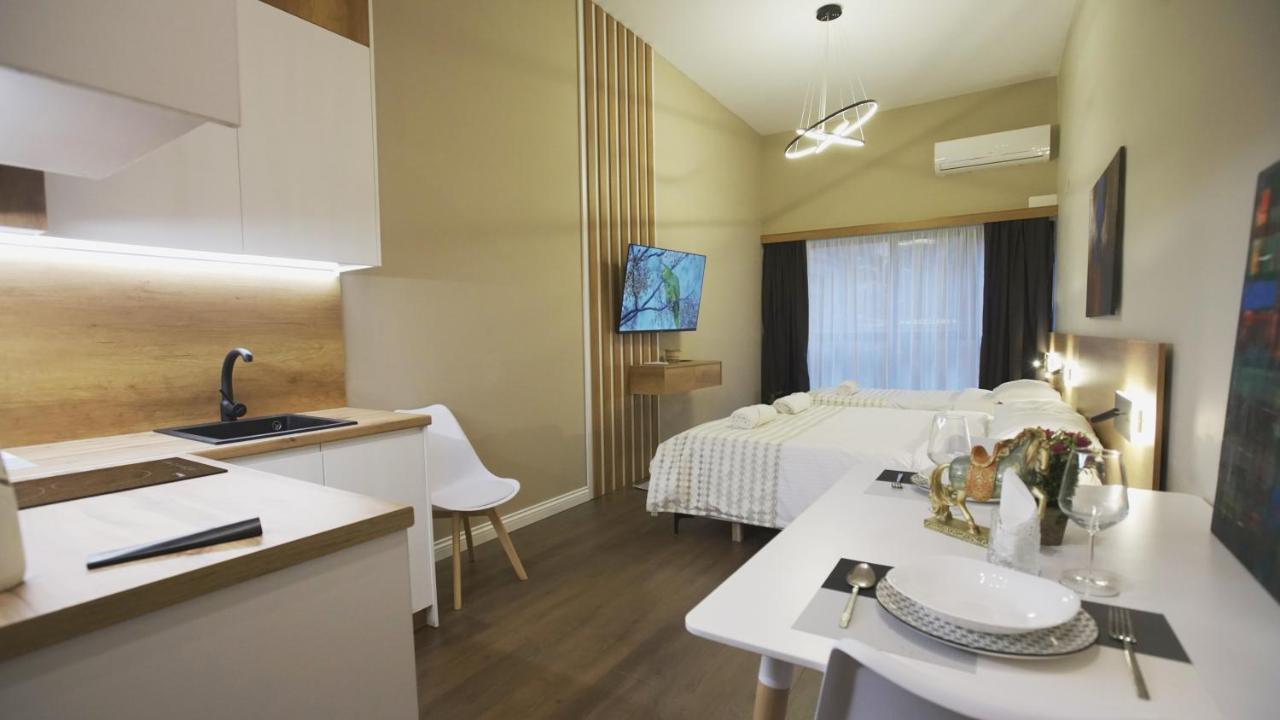 Daily Rent Studio Apartments Тирана Экстерьер фото